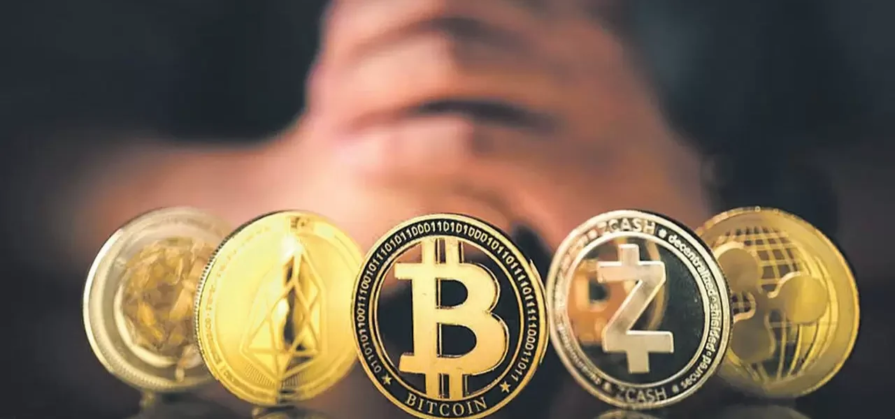 2025 FRNT Capital Araştırması, Kripto Paraların Geleceği