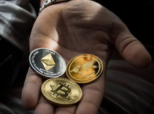 Evans Altcoin Boğası Artık Başlayabilir Dedi