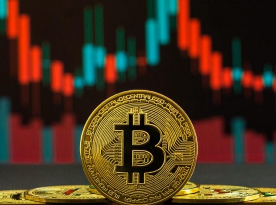 ABD Hükümeti Bu Hafta Bitcoin Rezervini Yüzde 64 Büyüttü