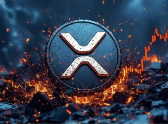 XRP’de Yatırımcıya 3 Milyon Dolarlık Şok: Sizin de Başınıza Gelebilir