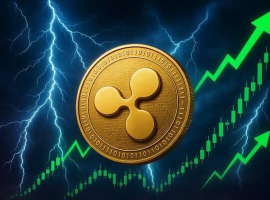 Bu Kripto Para, 2021’de Ripple’ın (XRP) Yaptığı Kazancın 5 Katını Sunabilir Mi?