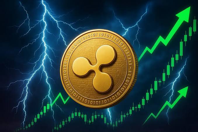 Bu Kripto Para, 2021’de Ripple’ın (XRP) Yaptığı Kazancın 5 Katını Sunabilir Mi?