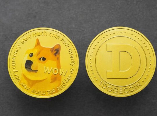 DOGE Departmanı Kapandı, Dogecoin Yükseldi: Neler Oluyor?