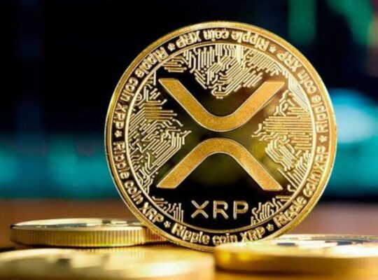 XRP Hazineleri Yükseliş Yaşıyor: Şirketler Dijital Varlıklara Yöneliyor